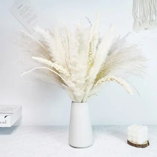 Produktbild: Natürliche Pampasgras Trockenblumen Deko,58 Stück DIY Trockenblumenstrauß für Pampasgras Getrocknete Blumen Strauss,Ideal for Boho Wohnzimmer-Schlafzimme (58 Stück)