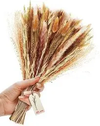 Produktbild: Natürliches Pampasgras 60 Stück getrocknet, Inklusive Spitzenband, 45cm Schilfgrasstrauß, 5 Komponenten, Dekoration Hochzeitsblumen, Wohnzimmer, Tischdeko, Wohndeko-Boho