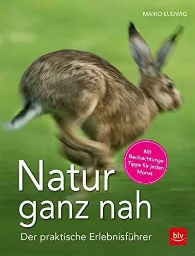 Produktbild: Natur ganz nah: Der praktische Erlebnisführer (BLV Natur)