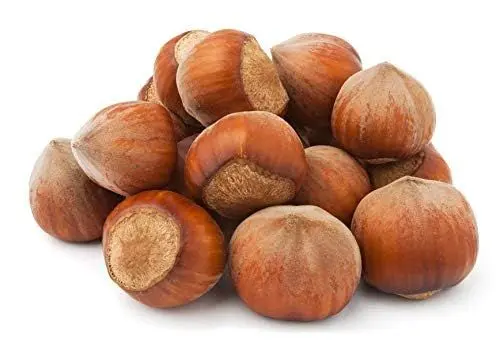 Produktbild: Natural Food Haselnüsse mit Schale - Haselnüsse in der Schale - Hazelnuts Ganz - PREMIUM - Haselnuss Frisch und Lecker - Vegan Roh Natürlich Naturbelassen Unbehandelt - OMEGA 3 - aus Europa - 2 kg