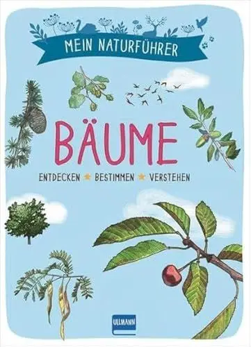 Produktbild: Naturführer - Bäume: Erkennen · erforschen · verstehen