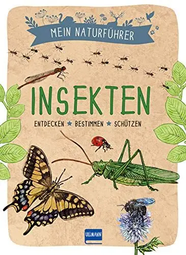 Produktbild: Naturführer - Insekten: Entdecken · bestimmen · schützen