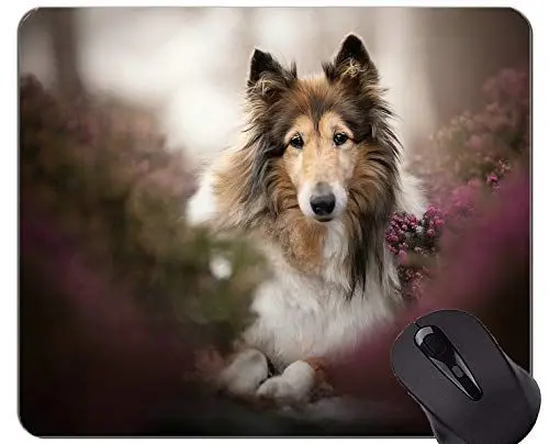 Produktbild: Naturkautschuk-Gaming-Mauspad mit Stare-Collie-Collie-Hund Bedruckt - genähte Kanten