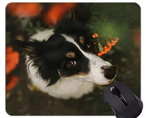 Produktbild: Naturkautschuk-Mauspad Bedruckt mit Hunde-Border-Collie - Genähte Kanten