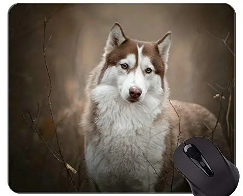 Produktbild: Naturkautschuk-Mauspad Bedruckt mit einem Hund mit husky Hund - genähte Kanten