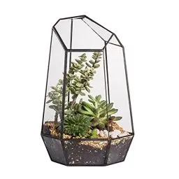 Produktbild: NCYP 16,5x16,5x25cm Glas Geometrisches Terrarium, unregelmäßiges Prisma,25 cm hoch Blumentopf für Sukkulenten, Farn (Ohne Pflanzen)