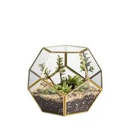Produktbild: NCYP 17,5x15x17,5cm Handmade Blumentopf Gold Messing Tischplatte Geometrische Pentagon Kugelform Offenes Terrarium für Sukkulente Luft Pflanzenhalter Glas Display Pflanzgefäß (Ohne Pflanzen)