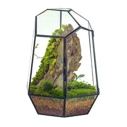 Produktbild: NCYP 25 cm Kleines Geometrisches Terrarium mit Tür, Schwarzer Unregelmäßiger Glas-Übertopf, Sukkulenten-Kakteen-Blumentopf, Heim-Garten-Dekoration, DIY-Geschenk (Ohne Pflanzen und Requisiten)