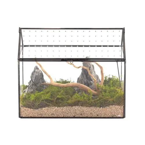 Produktbild: NCYP 26x15x21 cm, Hausform Glas-Terrarium mit Acryldeckel, Handgefertigtes Große Geometrische Terrarium Box für Schnecken, Sukkulenten, Pflanzen, DIY Geschenk (nur Terrarium)