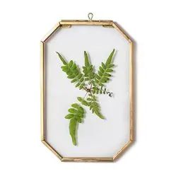 Produktbild: NCYP Goldfarben Schwebender Rahmen aus Glas, 10,2 x 15,2 cm, Achteckig Messing Hängerahmen für Gepresste Pflanzen, Getrocknete Blumen, Foto, Bild, Herbarium (nur Glasrahmen)