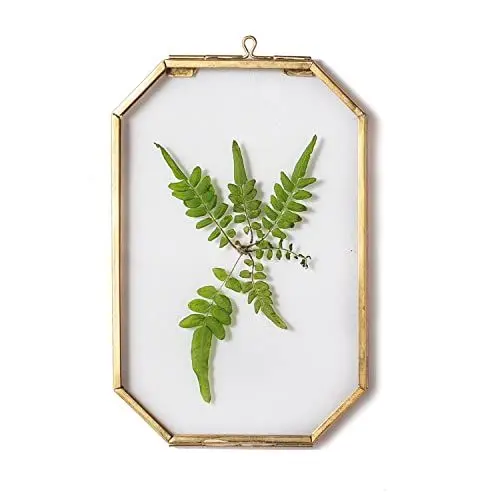 Produktbild: NCYP Goldfarben Schwebender Rahmen aus Glas, 10,2 x 15,2 cm, Achteckig Messing Hängerahmen für Gepresste Pflanzen, Getrocknete Blumen, Foto, Bild, Herbarium (nur Glasrahmen)