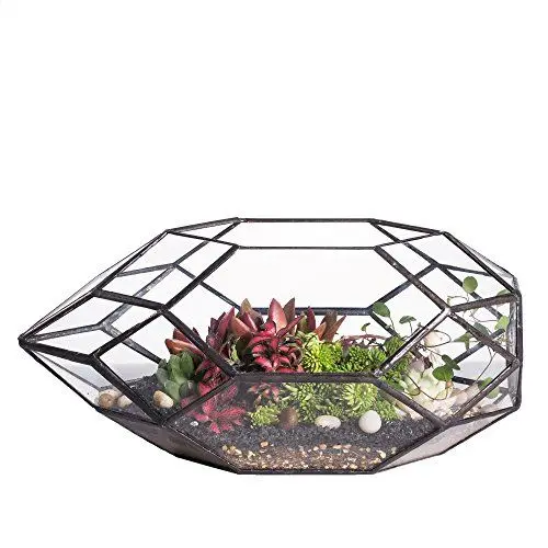 Produktbild: NCYP Handgefertigtes, großes, unregelmäßiges, vielflächiges, geometrisches Glas-Terrarium für sukkulente Pflanzen - Blumentopf/Übertopf für Fensterbank, Balkon, Tischplatte - 28 cm (ohne Pflanzen)