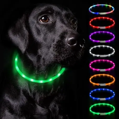 Produktbild: Nepfaivy Leuchthalsband Hund USB Aufladbar - Wasserdichtes Hundehalsband Leuchtend mit Verstellbarer Länge, LED Halsband für Hunde mit 3 Beleuchtungsmodi für Sicherheit, Grün