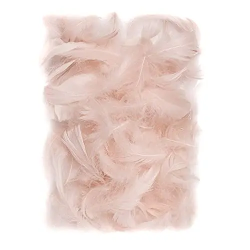 Produktbild: Netuno 150 Stück Beige Deko Federn 10g Flaumfedern Federn Schmuckfedern Vogelfedern Bastelfedern Natur für DIY Basteln Dekoration Ostern Weihnachten Dekofigur