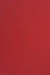 Produktbild: Netuno 50 Blatt Tonpapier Rot DIN A4 210× 297 mm 115g Sirio Color Lampone rotes Bastelpapier Kreativpapier Weihnachten Hochzeit Geburtstag Einladungen Bastelbogen rot Feinpapier farbig bedruckbar