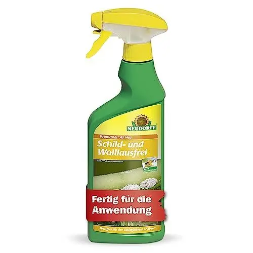 Produktbild: Neudorff Promanal AF Neu Schild- und Wolllausfrei – Bekämpft Schild- und Wollläuse sowie Spinnmilben an hartlaubigen Zierpflanzen wie z.B. Oleander und Olive, 500 ml, bunt