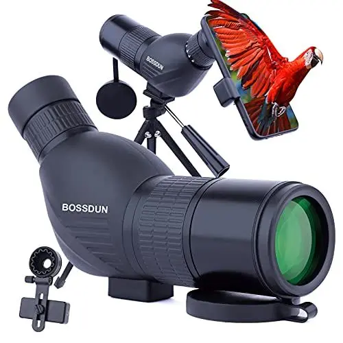 Produktbild: Neueste 12-36x50mm Compact Micro Spektiv - bewegliches wasserdichtes Spotter Scope mit BAK4 -Einblick für Vogelbeobachtung Outdoor-Aktivitäten
