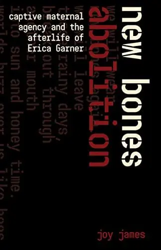 Produktbild: New Bones Abolition: Captive Maternal Agency and the (After)life of Erica Garner
