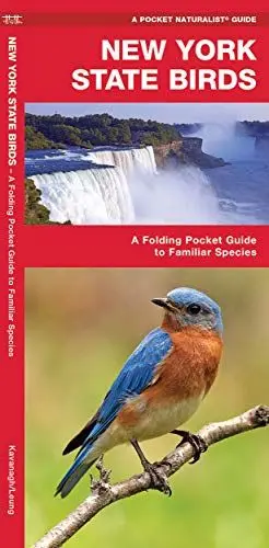 Produktbild: New York State Birds: A Folding Pocket Guide to Familiar Species (Wildlife and Nature Identification)