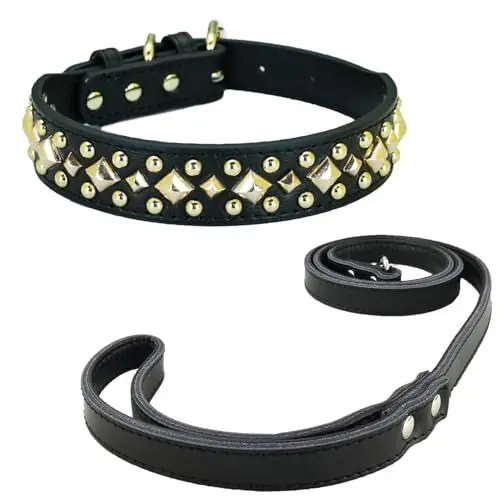 Produktbild: Newtensina Anti Bite Nieten Hundehalsband und Leine Welpenhalsband mit goldenem Spike für kleine Hunde große Hunde (0013) - Schwarz - XL