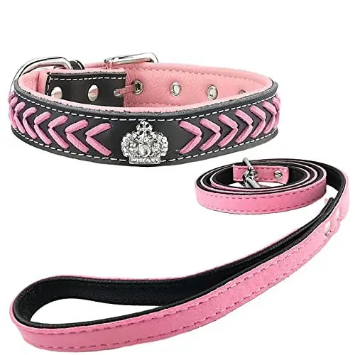 Produktbild: Newtensina Mode Hundehalsband und Leine Set Nylonriemen gewebt Bling Halsband Diamante Welpen Halsband mit Leine für kleine Hunde Mittelhunde