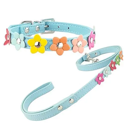 Produktbild: Newtensina Stilvolle Hundehalsband und Leine Set Hundehalsband Mädchen Blume Welpen Halsbänder Leinen für kleine Hunde mit Blume