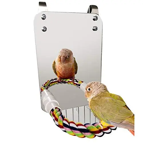 Produktbild: Nicoone Vogel Spielzeug Acryl Vogel Spiegel Spielzeug mit Seil Barsch Papageien Vogel Barsch Stehen für Sittich Nymphensittiche Lovebirds Voll Spiegel