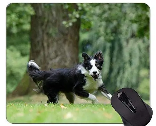 Produktbild: Niedliche Hundewelpen-Lüge aus den Grund Mausunterlage, Border-Collie-Mausunterlage Matte