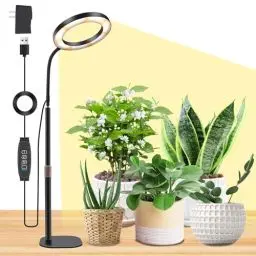 Produktbild: Niello Pflanzenlicht für Zimmerpflanzen,Schreibtisch-LED-Wachstumslampe,Vollspektrum-Wachstumslicht,höhenverstellbar,automatischer Timer mit 3/9/12 Stunden,ideal für das Wachstum kleiner Pflanzen.