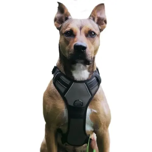 Produktbild: No Pull Hundegeschirr, Verstellbar Atmungsaktiv Reflektierend Weich Gepolstert Hunde Geschirr, Brustgeschirr für Hunde (Grau, XL)