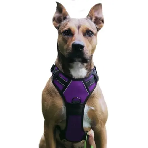 Produktbild: No Pull Hundegeschirr, Verstellbar Atmungsaktiv Reflektierend Weich Gepolstert Hunde Geschirr, Brustgeschirr für Hunde (Lila, L)
