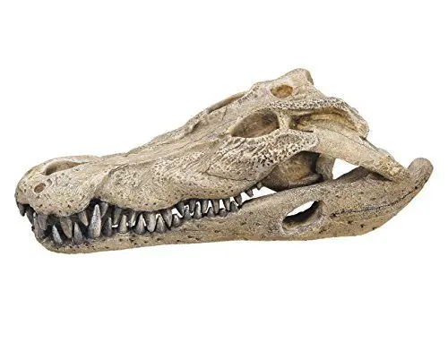 Produktbild: Nobby Aqua Ornaments Krokodil Schädel, 26 x 14 x 9 cm, 1 Stück
