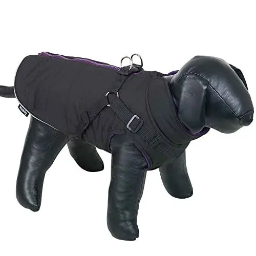 Produktbild: Nobby Hundemantel SOBAK 2 in 1, schwarz-lila, 48 cm, 1 Stück