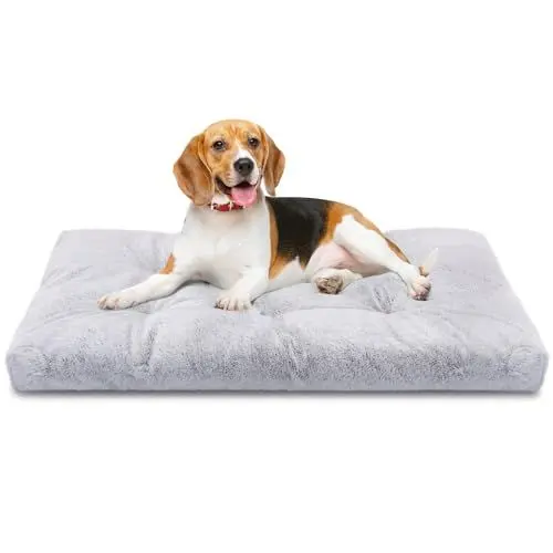 Produktbild: Nobleza Hundebett Mittelgroße Hunde Waschbar, Super Weiches und Flauschiges Anti-Angst Hundebett, Hochwertiges Plüsch Hundebett mit Rutschfestem Boden, Hundekissen, Hundematte rutschfest, 80x50x10 cm