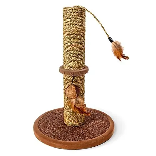 Produktbild: Nobleza Katzenbaum mit Pfosten-Sisal-Kratze Kätzchen Spielturm mit Hängespielzeug Kleine Katze Kletteraktivitätszentrum, Braun, 30 * 30 * 44cm