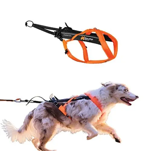 Produktbild: Non-stop dogwear Freemotion Harness 5.0 | Hunde-Geschirr für alle Sportarten, Größe:Größe 6