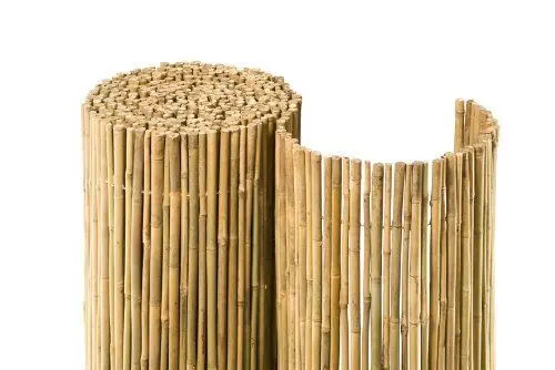 Produktbild: NOOR Bambusmatte Bahia - Natürlicher Sichtschutz aus Bambus für Balkon, Terrasse und Garten - Wetterfeste Sichtschutzmatte zum Anbringen am Zaun - 100 cm x 3 m - schmales Bambusrohr