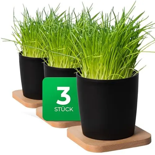 Produktbild: Novaliv Stilvolle 3er Set Kräutertopf mit Holzunterlage für Jede Fensterbank, Für frische Küchenkräuter, Kräutergarten für die küche, Kräuterbeet Indoor, Zimmerpflanzen, Pflanzentopf, Pflanzschale