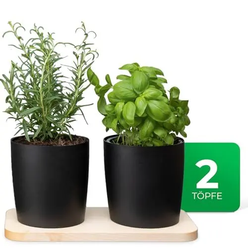 Produktbild: Novaliv Stilvolle Kräuterstation 2er Set mit Holzunterlage und 2 Kräutertöpfe für Jede Fensterbank, Für frische Küchenkräuter, Kräutergarten für die küche, Kräuterbeet Indoor, Blumentopf, Übertopf