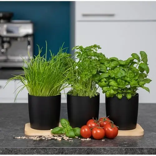 Produktbild: Novaliv Stilvolle Kräuterstation 3er Set mit Holzunterlage - Kräutertopf für Jede Fensterbank, Für frische Küchenkräuter, Kräutergarten für die küche, Kräuterbeet Indoor, Blumenkasten, Pflanzentopf