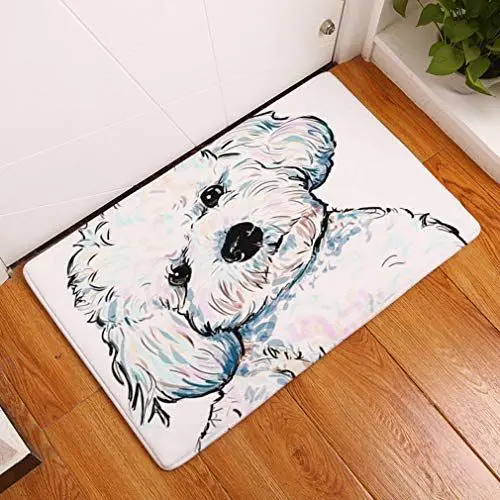 Produktbild: Nunbee Designer Fußmatte Anti Rutsch Unterlage Wasseraufnahme Teppich Praktische Schmutzfangmatte Haustür Flur Innenbereich Aussen Lustig Waschbar Weihnachten Katze, Hund 12 40 * 60cm