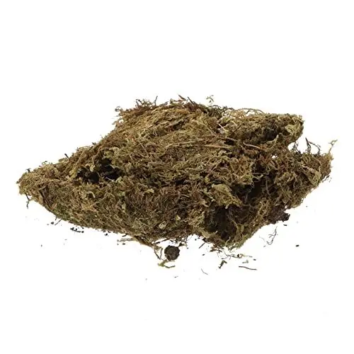 Produktbild: NUOBESTY 2 Packungen Lebensraum Moos Mikroszene natürliches Moos Blumentopf getrocknete Flechten Moos für DIY Gartenprojekte DIY Moos für die Dekoration Mikroszene getrocknete Flechten