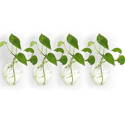 Produktbild: NUPTIO 4 Stücke Wandbehang Glas Pflanzgefäße Blumentopf - Wasser Pflanzen Vasen Luft Blumenvase Pflanze Terrarien Pflanzenbehälter