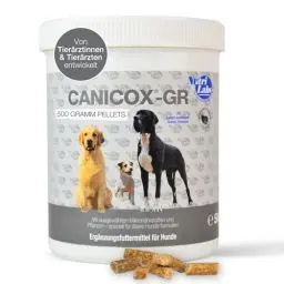 Produktbild: NutriLabs Canicox®-GR Nahrungsergänzung für Senioren-Hunde 500 g - Pellets für Senioren-Hunde mit MSM, Chondroitin, Glucosamin, Ginseng, Weißdorn u.v.m. - Gesundheitsprodukte für Hunde