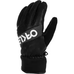 Produktbild: Oakley Herren Factory Winterhandschuhe 2.0, Blackout, Large