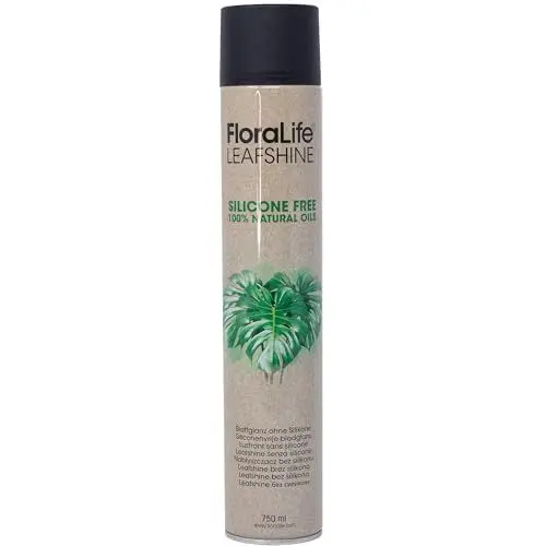 Produktbild: Flowerbox Oasis FLORALIFE Blattglanz ohne Silikone 750 ml Spray Glanzspray Blattpflege für Zimmerpflanzen Grünpflanzen