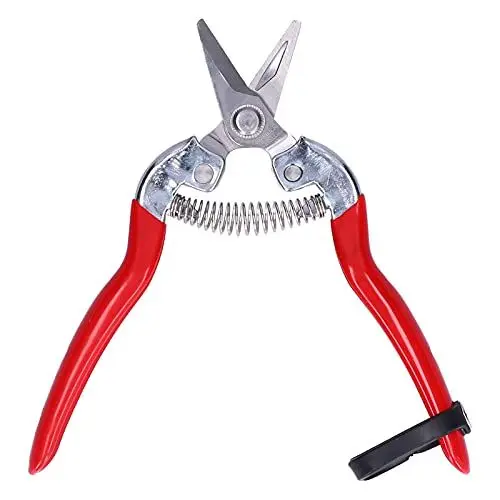 Produktbild: Obst- und Blumenpflückschere, Schere, Pflanzenbeschneidung, Gartentrimmen, Präzisions-Handschere, Kräuterschere, Schere, Bonsai-Trimmer, Gerade, Scharfe Klinge für Zweige,
