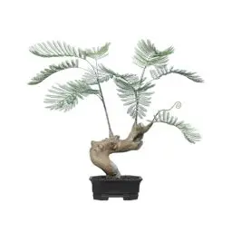 Produktbild: Oc'leaf Künstliche Pflanzen Palme - 85cm Kunstpalme Kunstpflanzen Groß, Künstliche Pflanzen wie echt, Künstliche Palme Deko für Zuhause, Wohnzimmer, Schlafzimmer, Büro, Garten