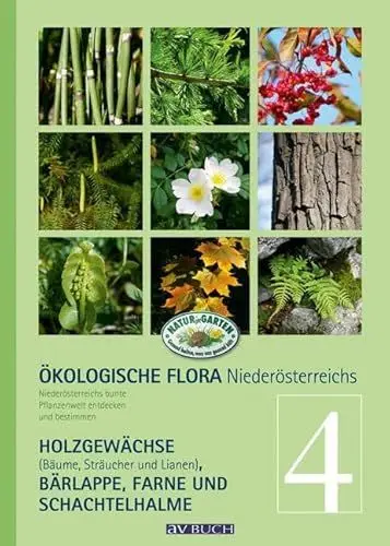 Produktbild: Ökologische Flora – Nieder-Österreichs Pflanzenwelt entdecken und bestimmen: Band 4- Holzgewächse (Bäume, Sträucher und Lianen), Bär- Lappe, ... (avBuch im Cadmos Verlag: im Cadmos Verlag)