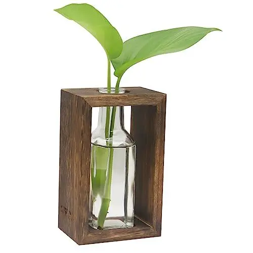 Produktbild: OFFIDIX Pflanzenvermehrungsstationen, Desktop-Glas-Pflanzenterrarium mit Holzständer, Glas-Pflanzgefäß, Blumenvase mit 1 Glas für Hydrokulturpflanzen, Büro, Heimdekoration